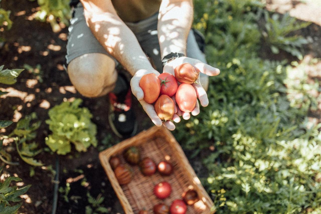 Biohotel Theiner'S Garten 拉纳 外观 照片